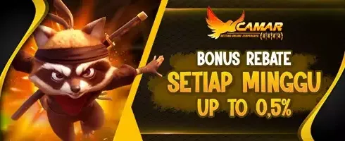 Rebate Mingguan Slot VIP 0.5% promotion banner